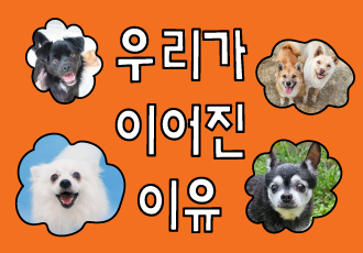 [온라인 결연의 날] 우리가 이어진 이유🐕