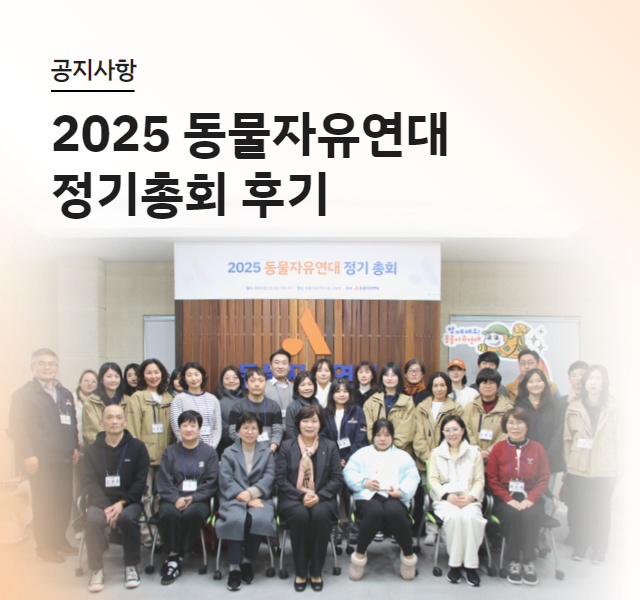 2025 정기총회 후기