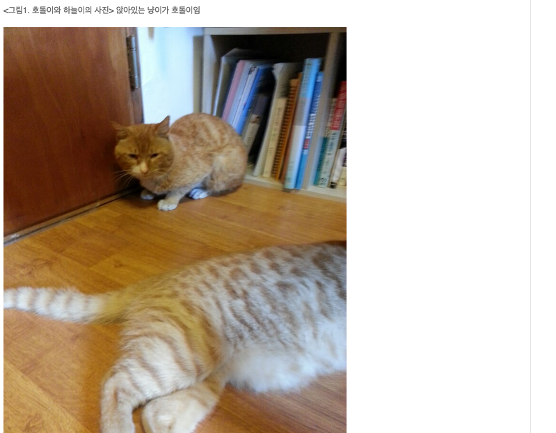 2016810416491192363173.png
