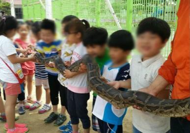 용인시육아종합지원센터 '찾아가는 이동 동물원' 체험행사 중단 요청