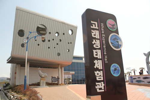 울산 남구청의 돌고래 수입 시도를 규탄하는 광화문 기자회견 후기