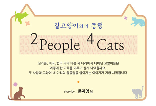 [길고양이와의 동행] 고양이 이야기 8편 - 2 People 4 cats