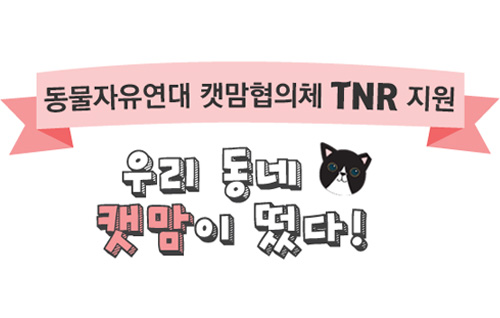 [2016 지역캣맘협의체 TNR 지원] 4탄. 서초캣맘모임 