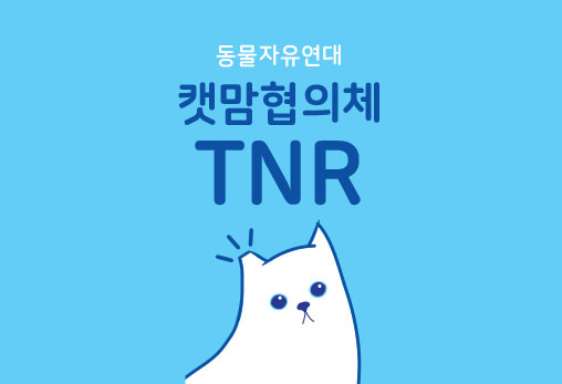 [마감] 2018년 지역 캣맘협의체 길고양이 TNR지원사업  