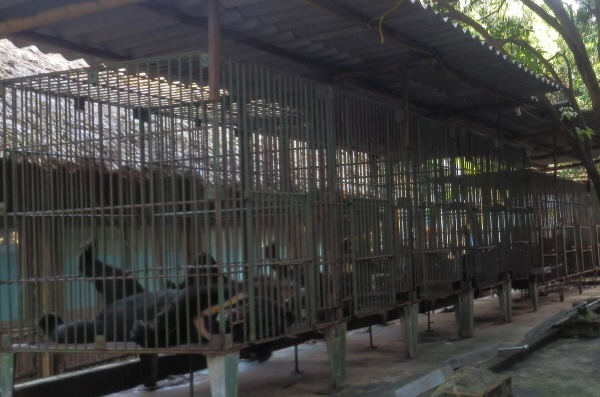 'TBC 문화탐방' 베트남 여행상품에서 곰농장 방문을 제외하도록 요청했습니다. 