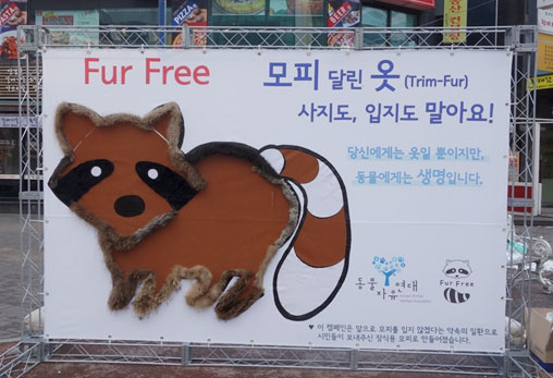 12월 19일(목) 홍대 어울림마당에서 진행된 Fur Free 캠페인