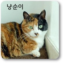 <1>센터 동물들의 치료진행 상황(고양이, 대형견,모낭이들) 