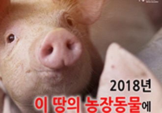 [카드뉴스] 12월20일 국제 인간 연대의 날 x 농장동물