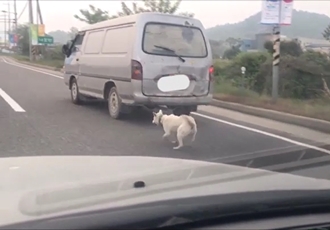 [고발] 봉고차에 개를 매달고 질주한 잔혹한 동물학대사건 발생!