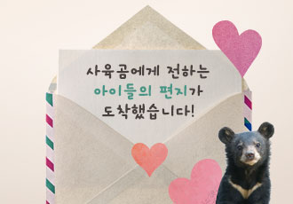 [PROJECT FREE: THE BEAR] 사육곰들에게 전하는 아이들의 편지가 도착했어요!