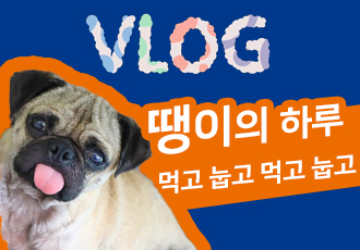 [같이살개] 먹고! 눕고! 먹고! 눕고! 땡이의 하루 VLOG!