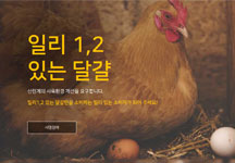 [농장동물] 세계 농장동물의 날 X 1,2 있는 달걀 캠페인 = 1,2 있는 액션! 
