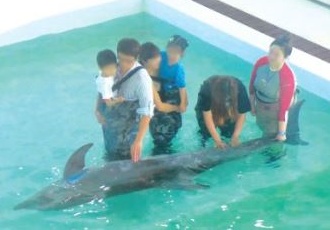 [전시동물] 광주고등법원의 큰돌고래 수입 금지 판결