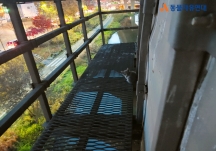 [구조] 서울 내부순환로 교각에 고립되어 있다가 구조된 새끼 고양이