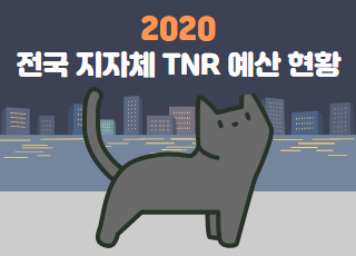 [길고양이] 우리 동네 길고양이 TNR 예산은 얼마?