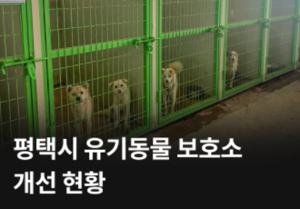 [유기동물]평택시 유기동물 보호소 개선 현황 및 유기견 질식사 사건 확인 결과