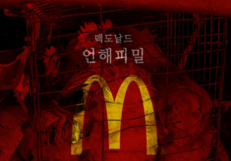 [서명] 맥도날드 아시아 케이지프리 선언 촉구를 위한 서명 참여 요청