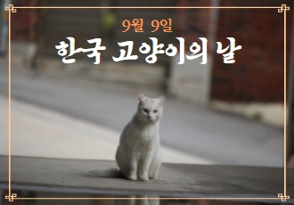 9월 9일 '한국 고양이의 날', 길고양이의 안녕한 삶을 기원합니다 