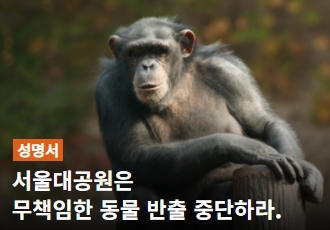 [성명서] 서울대공원은 무책임한 동물 반출 중단하라.