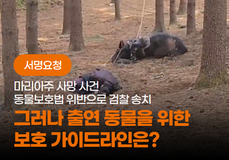 [서명요청]마리아주 사망 사건 검찰 송치, 그러나 출연 동물 보호 가이드라인은?