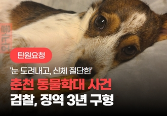 [탄원요청] ‘눈 도려내고, 신체 절단한’ 춘천 동물학대 사건, 검찰 법정 최고형인 징역 3년 구형
