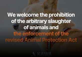 [성명] 동물의 임의도살 금지, 개정된 동물보호법 시행을 환영한다