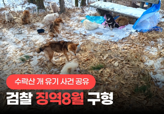 [공판 후기] 수락산 개 유기 사건, 징역 8월 구형