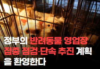 [논평] 정부의 반려동물 영업장 집중 점검∙단속 추진 계획을 환영한다