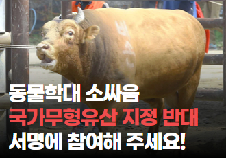 [서명 요청] 동물학대 소싸움 국가무형유산 지정 반대 