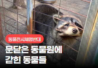 [전시동물]문닫은 동물원에 갇힌 동물들