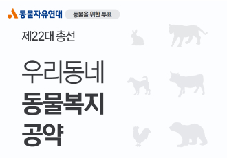 [동물을 위한 투표] 22대 총선 후보의 동물복지 공약