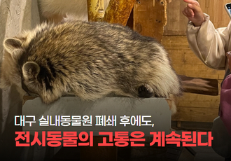 [전시동물] 대구 실내동물원 폐쇄 후에도, 전시동물의 고통은 계속된다