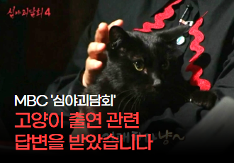 MBC ‘심야괴담회’ 고양이 출연 관련 답변을 받았습니다