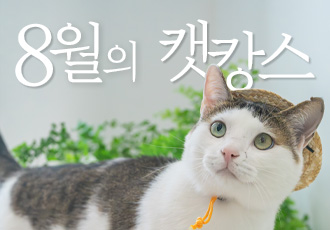 세계 고양이의 날 기념 행사 '8월의 캣캉스'🍉
