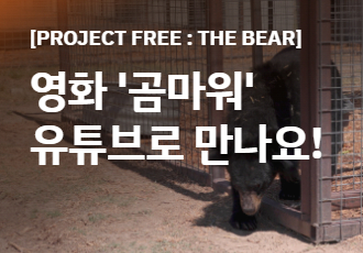 [PROJECT FREE : THE BEAR] 영화 ‘곰마워’를 유튜브에서 만나요!