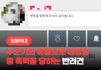 [동물학대] 누군가의 유흥으로 실시간 방송 중 폭력을 당하는 반려견