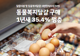 [달걀시장 및 동물복지달걀 시민인식조사①] 동물복지달걀 구매량 1년새 35.4% 껑충