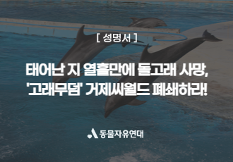 [성명]태어난 지 열흘만에 새끼돌고래 사망, ‘고래무덤’ 거제씨월드 폐쇄를 촉구한다!