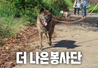 [봉사] 10월 정기 봉사로 함께할 '더 나은 봉사단'을 모집합니다🌿