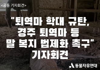 [공동기자회견]공주시 불법 농장에서 무더기로 발견된 말 사체,  퇴역마 학대 방지 위해 말 복지 법제화로 대책 마련하라!