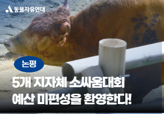 [논평] 5개 지자체 소싸움대회 예산 미편성을 환영한다! 