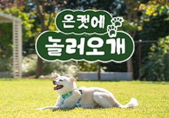 [11월 온캣에 놀러오개] ﻿잔디마당에서 뛰어놀개🐕🧡