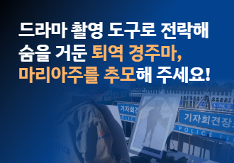 [추모 메시지 요청] 드라마 촬영 도구로 전락해 숨을 거둔 퇴역 경주마, 마리아주를 추모해 주세요!