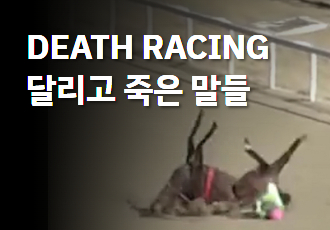 [DEATH RACING] 달리고 죽은 말들