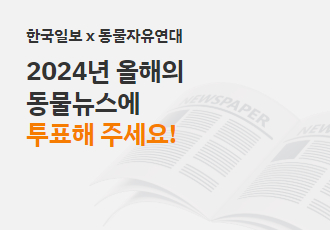 [동물자유연대X한국일보] 2024 올해의 동물뉴스에 투표해주세요!