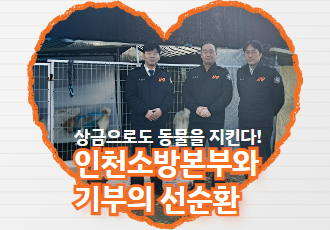 상금으로도 동물을 지킨다! 인천소방본부와 기부의 선순환