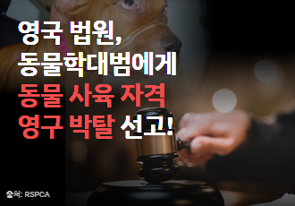 영국 법원,  동물학대범에게  동물 사육 자격  영구 박탈 선고!