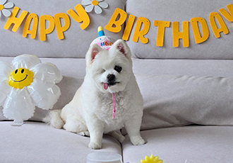 제가 세상에서 제일 사랑하는 우리 그림이 4번째 생일이 지났어요 