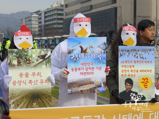 [기자회견 후기]새들이 죽어가는 2014년, 대한민국이 부끄럽다. 