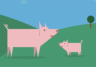 [PIG수첩] 우리가 몰랐던 돼지의 삶 